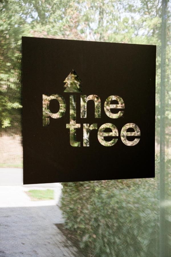 Willa Pine Tree Herbeumont Zewnętrze zdjęcie